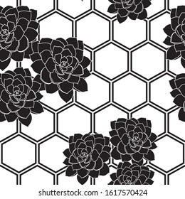 Vector black and white succulent flower hexagon background seamless pattern print