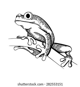 Vector Black and White Tattoo Ornate Frog Illustration