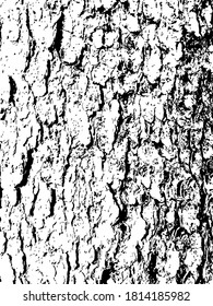 vector black and white texture of spruce tree bark