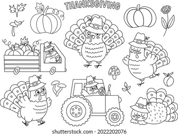 Vector black and white Thanksgiving turkey set. Autumn birds line icon. Fall holiday outline animal in pilgrim hat pack. Line gobblers driving a car with pumpkins, tractor, sleeping, running.
