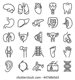 Vector black and white thin simply icons set with anatomy and human organs. The sensory organs, urinary and reproductive system, internal organs and osteochondral unit