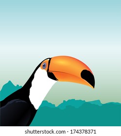 Vector black and white Toucan's head