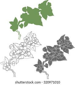 Vector black and white twig cherry blossoms. Green silhouette. For scrapbooking, Save the date card, postcard, flyer or wedding invitation, floral decorative design.