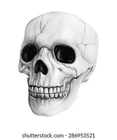 Vector black and white watercolor hand-drawn human skull isolated on a white background. Monochrome picture