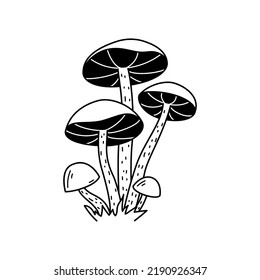 Vector black and white wild forest mushrooms on grass. Autumn botanical design element. Edible or poisonous mushrooms. Illustration on white background
