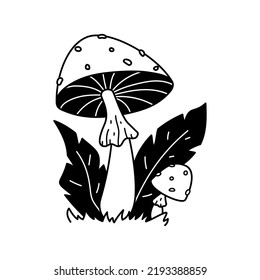 Vector black and white wild forest spotted mushrooms in grass. Hand drawn fly agaric. Doodle autumn botanical design element. Poisonous mushrooms. Line art illustration on white background
