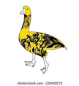 Vector black, white and yellow serious goose