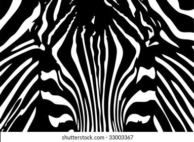 vector - black and white zebra background