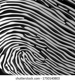 Vektorschwarz-weißer Zebra TEXTURE UND PATTERN. Hintergrund, schwarz-weiß