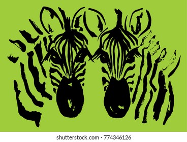 Vector Black Zebras