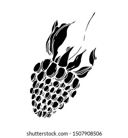 Vector Blackberry healthy food. Black and white engraved ink art. Isolated berry illustration element on white background.
