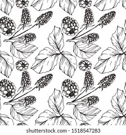 Vector Blackberry healthy food. Black and white engraved ink art. Seamless background pattern. Fabric wallpaper print texture.