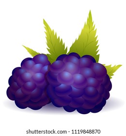 Vector blackberry with leaves icon. Isolated elements on white background. Perfect for game icon or other design works.