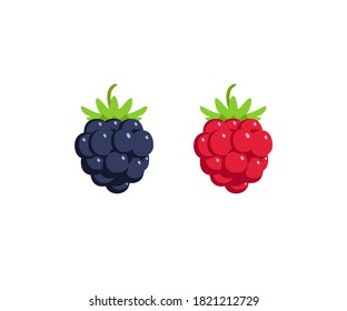 Vector blackberry and raspberry illustration isolated on white. Symbol for berry flavor of production