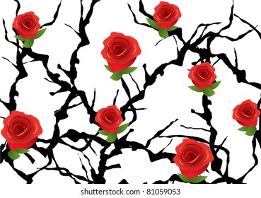 vector blackthorn bush with roses