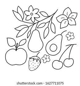 Vector black-white image of a set of fruits on a white background. For the design of wrapping paper, textiles and for coloring.