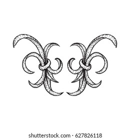 vector blackwork tattoo hand drawn engraving vintage baroque ornament illustration decoration isolated background