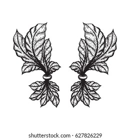 vector blackwork tattoo hand drawn engraving vintage floral baroque ornament illustration decoration isolated background