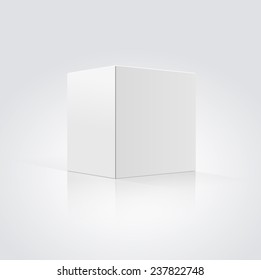 Vector Blank Box isolated