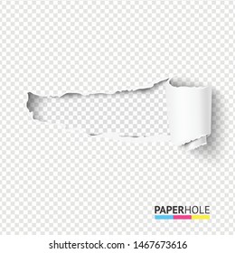 Vector blank curled tear paper piece into a scroll with torn edges of hole and shadows on a transparent background for sale promo empty banner revealing some message.
