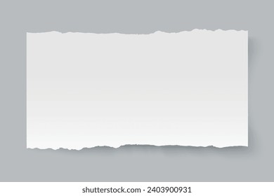 Vector blank sheet of horizontal torn paper. 
