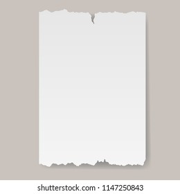 Vector blank sheet of torn paper banner