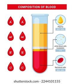 Infografía de la sangre vectorial, ilustración del diseño de la composición sanguínea