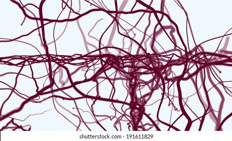 vector blood vessels