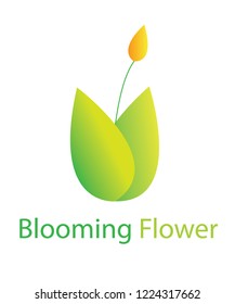 Vector Blooming Flower Logo Design Template Icon