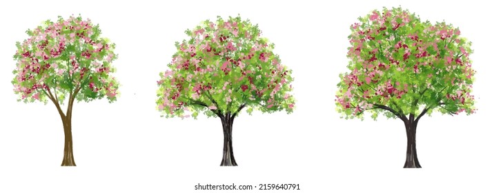 Vector blooming flower tree side view isolated on white background for landscape plan and architecture drawing, elements for environment and garden,botanical elements 
