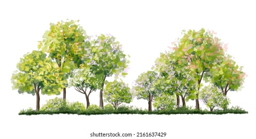 Vector blooming flower tree side view isolated on white background for landscape plan and architecture drawing, elements for environment and garden,botanical elements 