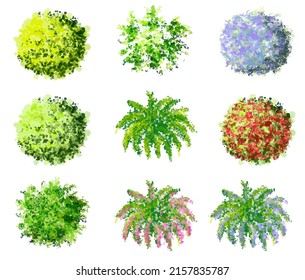 Vista de flores o árboles florecientes de vectores aislados en fondo blanco para el diseño de paisajes y arquitectura, elementos para el medio ambiente y el jardín
