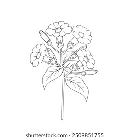 Flor vetor florescendo com fundo branco.