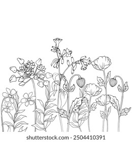 Vector blooming flowers and botanical elements with white background.