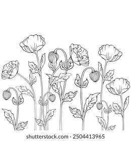 Vector blooming flowers with white background.