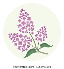 Vector Blooming Lilac Flowers Icon. Llustration Of Branch Of Spring Garden Flower With Green Leaves In Flat Style. Greeting Card Template.