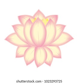 vector blooming Lotus flower. isolated on white background