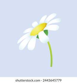 vector floreciendo flores de primavera sobre fondo blanco.