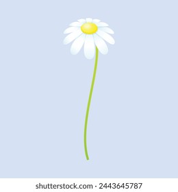 vector blooming spring flowers on white background.