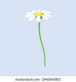 vector blooming spring flowers on white background.