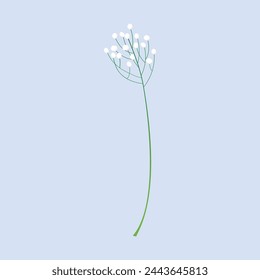 vector blooming spring flowers on white background.