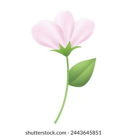vector blooming spring flowers on white background.