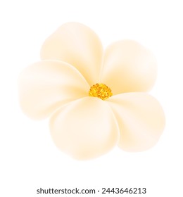 vector blooming spring flowers on white background.
