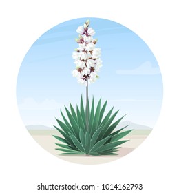 vector Blooming yucca tree on sand in desert. Common yucca, filamentosa, aloifolia, aloe yucca, dagger plant illustration. New mexico cartoon graphic. Handdrawn outdoor plant against the blue sky