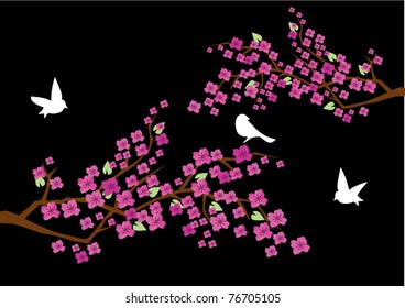 vector blossom branches with birds