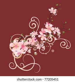 vector blossom cherry brunch on brown
