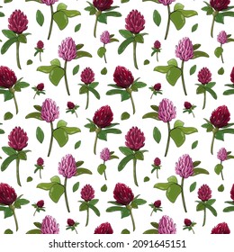 Flores de trébol de flores vectoriales sin fisuras. Papel digital para las vacaciones de primavera del Día de San Patricio. Gráfico irlandés. 