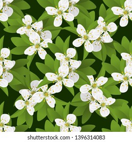 Vector  blossom, spring flower on green  background. Design for invitation, banner, card, poster, flyer 