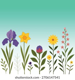 Vector Blossomed Garden Flowers Set