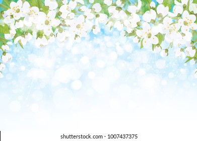 Vector blossoming branches of apple  tree, spring background.